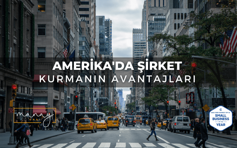 Fırsatlar ülkesi Amerika’da şirket kurmanın; finansal kaynak, kalifiye çalışan, yeni market ve pazarlara ulaşım, lojistik gibi çok fazla önemli avantajı vardır.