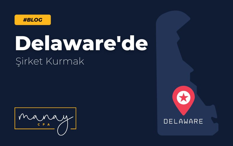 delawarede-sirket-kurulumu