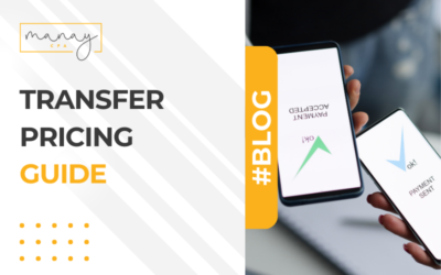 Transfer Pricing Guide