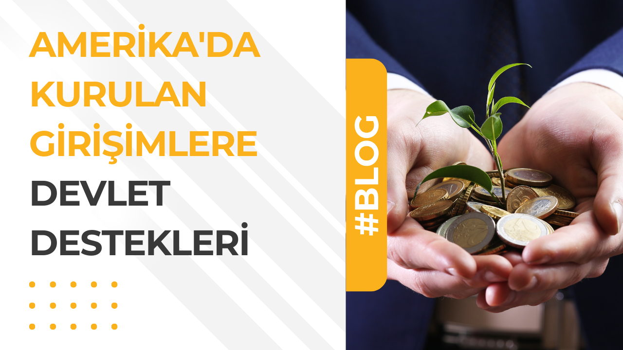 Amerikada Kurulan Girisimlere Devlet Destekleri