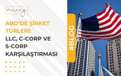 ABD’de Şirket Türleri: LLC, C-Corp ve S-Corp Karşılaştırması