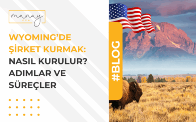 Wyoming Şirket Kurmak: Nasıl Kurulur? Adımlar ve Süreçler