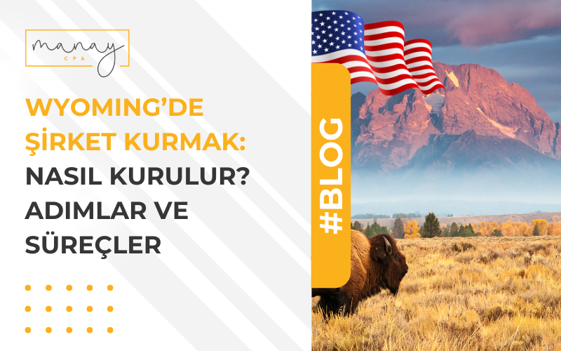 Wyoming Şirket Kurmak: Nasıl Kurulur? Adımlar ve Süreçler