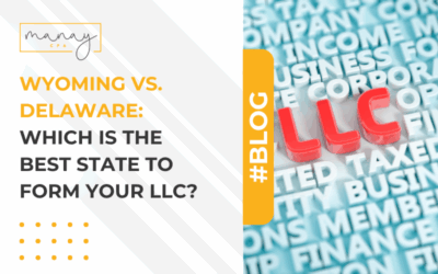 Wyoming vs. Delaware: Which is the Best State to Form Your LLC?