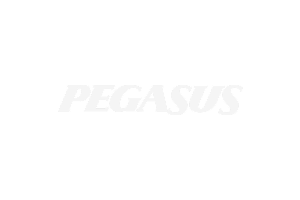 Pegasus Logo Light