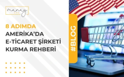 Amerika’da E-Ticaret Şirketi Kurma Rehberi