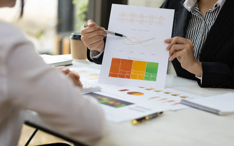 internal-process-risk-assessment Internal Process and Risk Assessment
