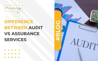 Difference Between Audit vs. Assurance Services