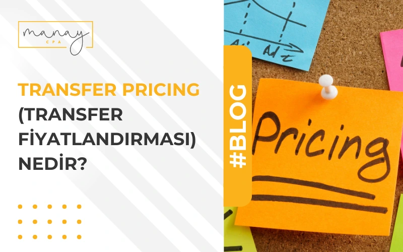 Transfer Pricing (Transfer Fiyatlandırması) Nedir?