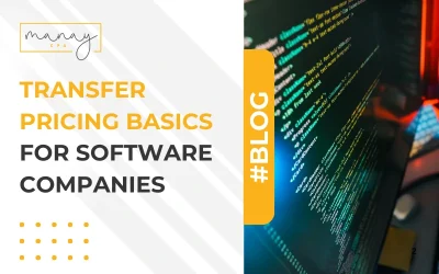 Transfer Pricing Basics for Software Companies