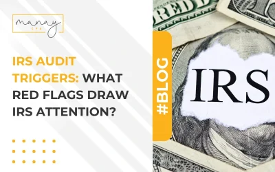 IRS Audit Triggers: What Red Flags Draw IRS Attention