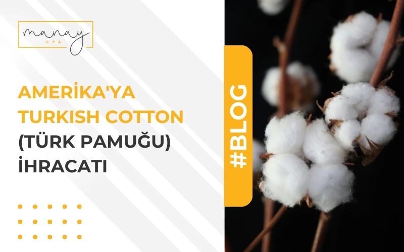Amerika'ya Turkish Cotton (Türk Pamuğu) İhracatı